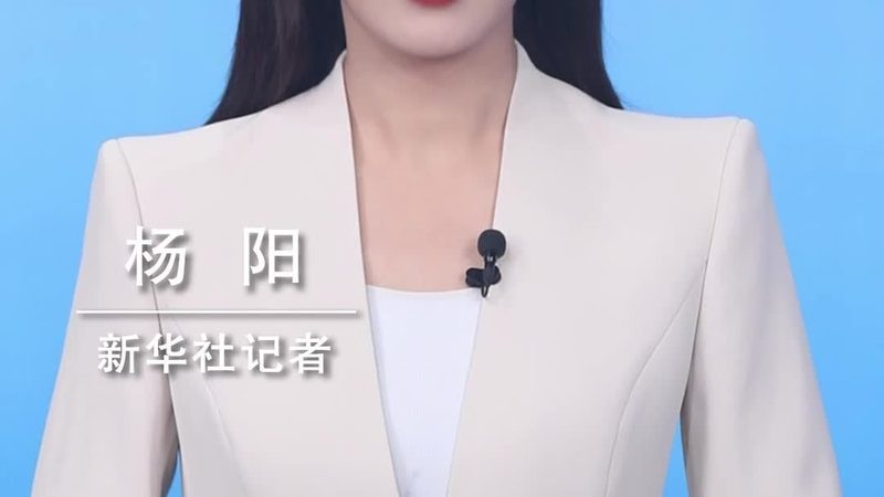 云服务器与物理机：成本考量背后的技术考量